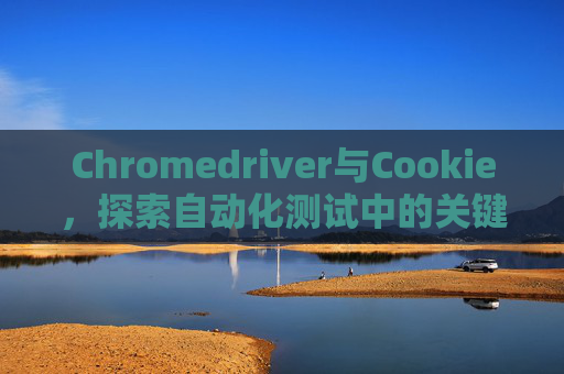 Chromedriver与Cookie，探索自动化测试中的关键元素
