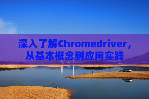 深入了解Chromedriver,从基本概念到应用实践 深入了解Chromedriver,从基本概念到应用实践